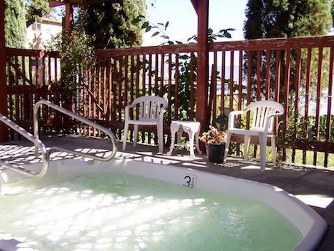 The Mallard House Inn Lakeport Удобства фото